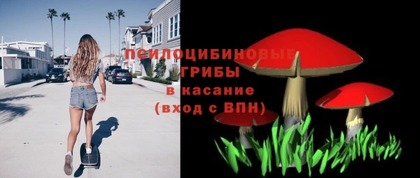 MESCALINE Няндома