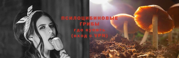 мдпв Болхов