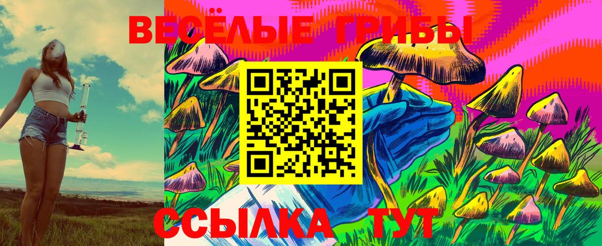 Лабинск  Псилоцибиновые грибы Magic Shrooms  Вход с VPN 