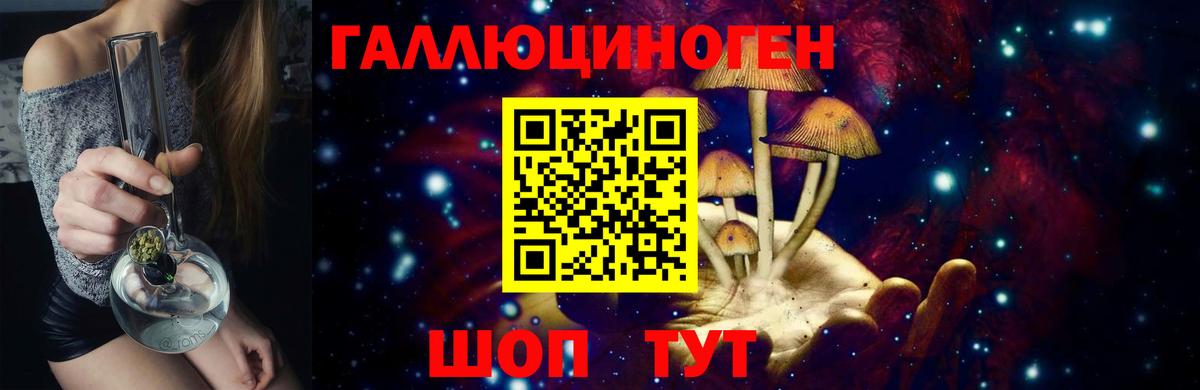 Псилоцибиновые грибы GOLDEN TEACHER Лабинск