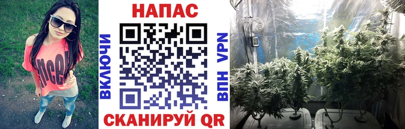 Бошки марихуана семена  Лабинск 